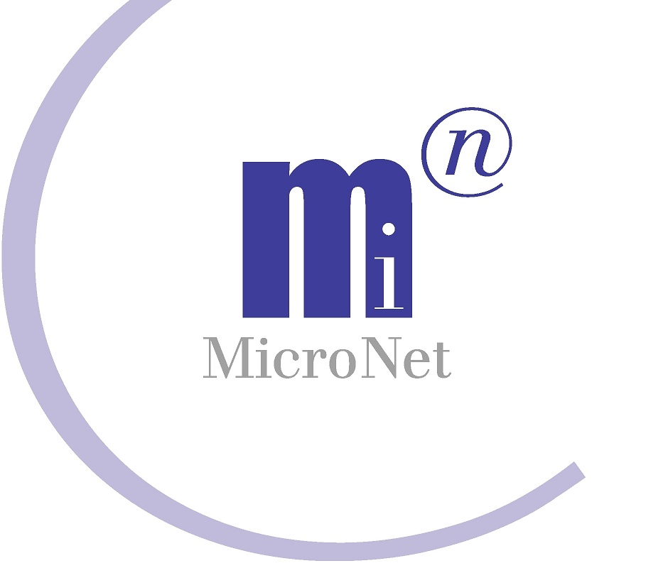 MicroNet Logo